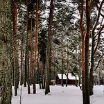 Joeaeaere Puhkekeskus Orman Evi *
