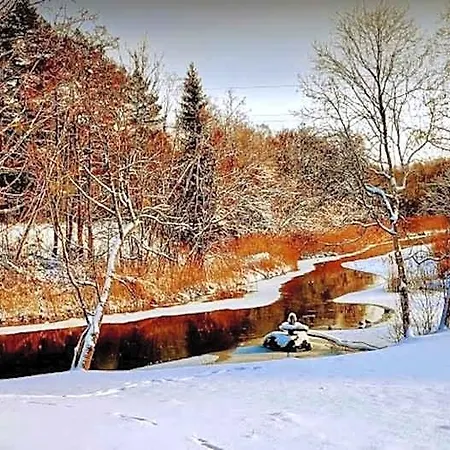 Joeaeaere Puhkekeskus Lodge *