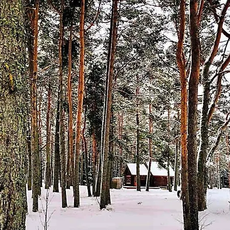 Joeaeaere Puhkekeskus Lodge