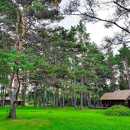 Joeaeaere Puhkekeskus Lodge *