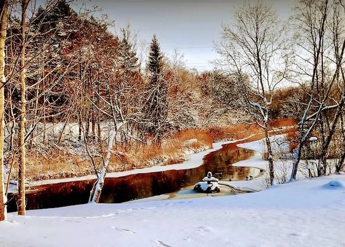 אכסניה Joeaeaere Puhkekeskus Langa