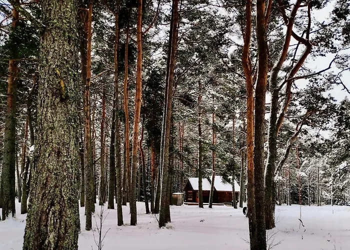 Joeaeaere Puhkekeskus אכסניה *