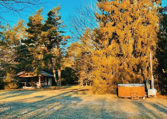 Joeaeaere Puhkekeskus * Langa